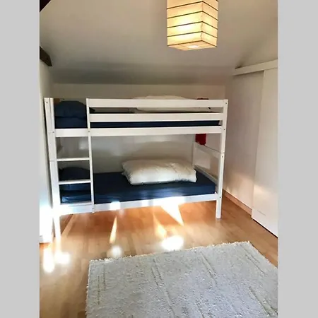 Cute House / On The Border Of Basel / Just Perfect סאן לואיס