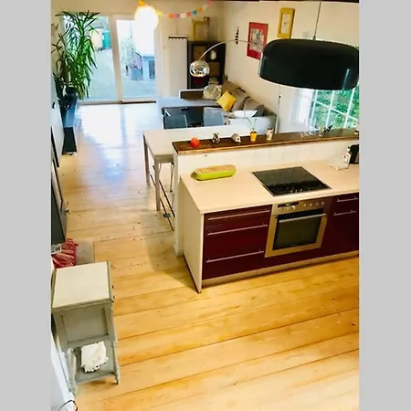Cute House / On The Border Of Basel / Just Perfect בית נופש